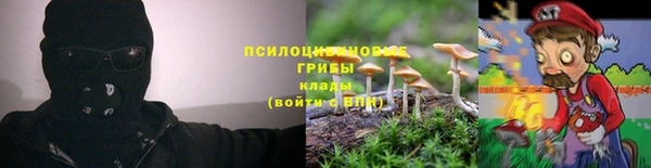 мескалин Богородицк