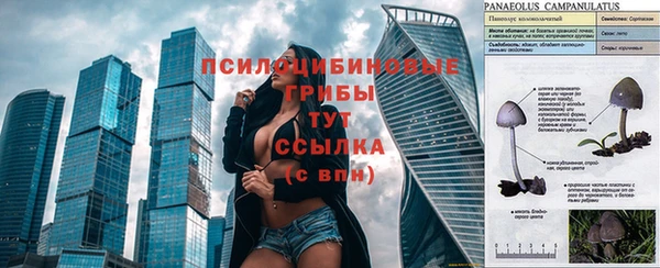 меф Богородск