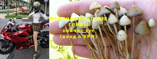 мескалин Богородицк