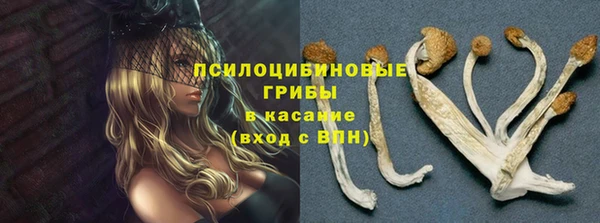 мяу мяу кристалл Богданович
