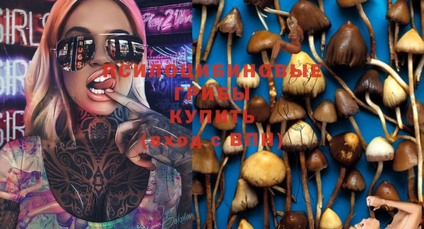 мяу мяу кристалл Богданович
